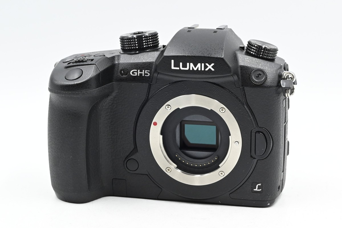 おまけ付き！美品！】Panasonic LUMIX GH5 レンズキット 【公式通販】