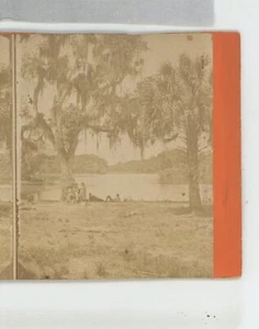 Palmettos on Indian River GA Georgia D.J. Ryan Stereoview um 1870 - Bild 1 von 3
