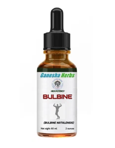 BULBINE NATALENSIS LIQUID EXTRACT TINCTURE 2 oz 60ml. BODYBUILDING - Picture 1 of 1