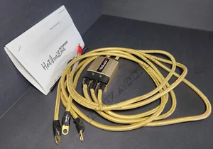 Gold Sun Auto Voltage Stabilizer GT Inazuma Inazama Kizuna Universal 12V Car SUV - Picture 1 of 5