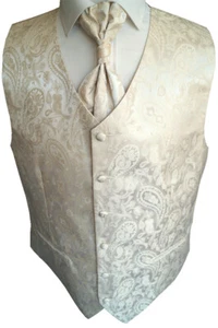 Hochzeitsweste mit Plastron, Einstecktuch und Krawatte Nr. 20.1 Größe: 44 - 114 - Picture 1 of 5