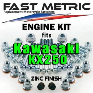 '88-'07 Kawasaki KX 250 Engine Rebuild Bolt Kit | FACTORY style ZINC Fasteners - Foto 1 di 12