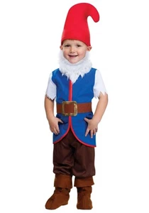 Toddler Gnome Boy Costume - Picture 1 of 1