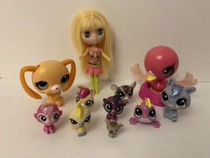 LPS My Little Pet Shop Animals Figures Hasbro Toy LOT with Blythe - Picture 1 of 5