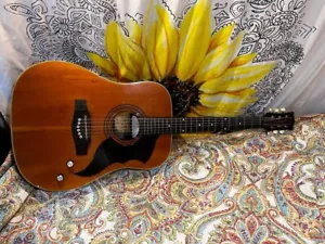 Eko Ranger 6 Acoustic Electric Guitar - Picture 1 of 17
