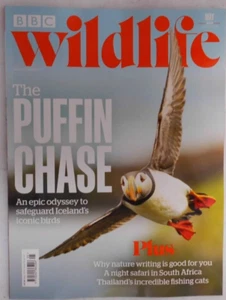 Nuova inserzioneBBC Wildlife magazine May 2024 An Epic Odyssey to safeguard Iceland's puffins