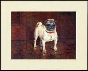 PUG NAMED CHAMPION DOG LOVELY LITTLE PRINT MOUNTED READY TO FRAME - Picture 1 of 1