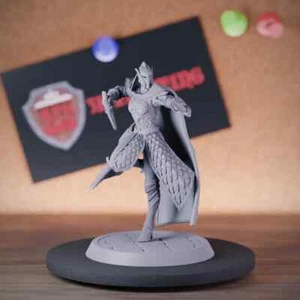 Elf Assassin Miniature Warrior Fighter Mini Dungeons and Dragons 5e DnD TTRPG - Bild 1 von 8