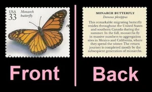 US 3351k Insects & Spiders Monarch Butterly 33c single MNH 1999 - Picture 1 of 1