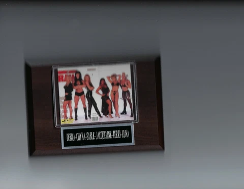 DEBRA CHYNA SABLE JACQUELINE TERRI & LUNA PLAQUE WRESTLING WWE WWF Cover