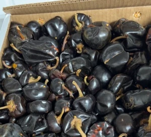 Dried Cascabel Bola Chili Pepper (Chile Cascabel) 1 lb!! - Picture 1 of 4