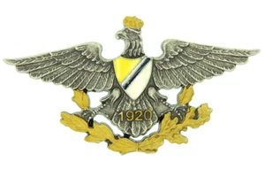 126 SEGUNDA GUERRA MUNDIAL INSIGNIA DE PULIDO DEL 27o REGIMIENTO UHLAN POLONIA - Imagen 1 de 2