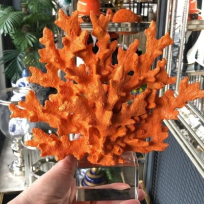 Escultura de coral hecha a mano poliéster; diseño de adornos de decoración de coral para el hogar y la oficina Foto 1 de 4