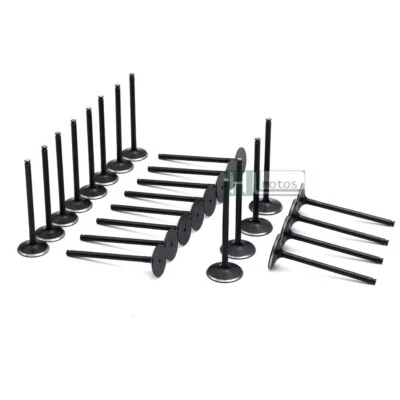 Juego de 24 válvulas de motor para Mercedes-Benz CL500 G500 E55 G55 S55 AMG 5,0 5,4 L M113 Foto 1 de 4