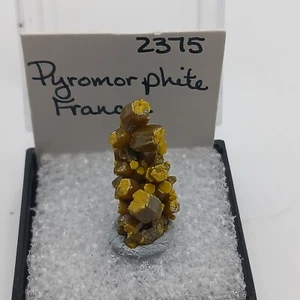 AESTHETIC Pyromorphite Crystal Thumbnail FRANCE Dk Green 1.25" Perky Display - Picture 1 of 9