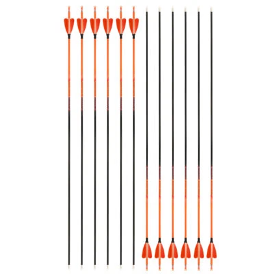 6/12 32'' Archery Arrow Pure Carbon SP400-1000 Feathers ID4.2mm Shooting Target - Image 1 of 4