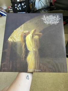 The Mosaic Window - Plight Of Acceptance Vinyl LP Black Metal Death Metal  - Picture 1 of 3