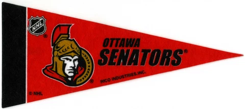 OTTAWA SENATORS~BRAND NEW 9" MINI NHL HOCKEY TEAM SOUVENIR MINIATURE PENNANT Cover