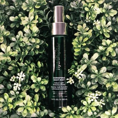 Bruma facial hidratante Somnifera Root 3,4 oz bloquea la humedad refrescante TOTALMENTE NUEVA Foto 1 de 2