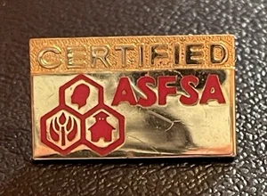 Spilla da bavero certificata ASFSA American School Food Service Award premio tono oro - Foto 1 di 6