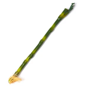 Set of 10 Artificial 12" Indooor / Outdoor Lucky Bamboo Branches - Picture 1 of 4