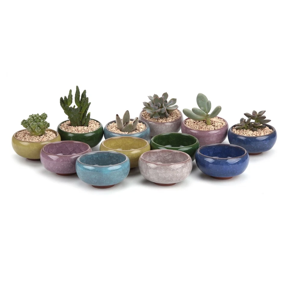 T4U 2.5 Inch Small Ceramic Succulent Planter Pot with Drainage Hole Set of 12...