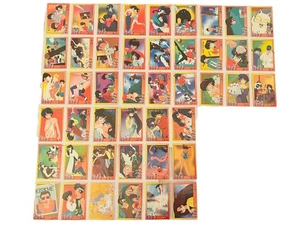 Vtg Ranma 1/2 Series 2 Complete TCG CCG Card Anime Ero Ecchi Hentai Cards 1980s - Picture 1 of 12