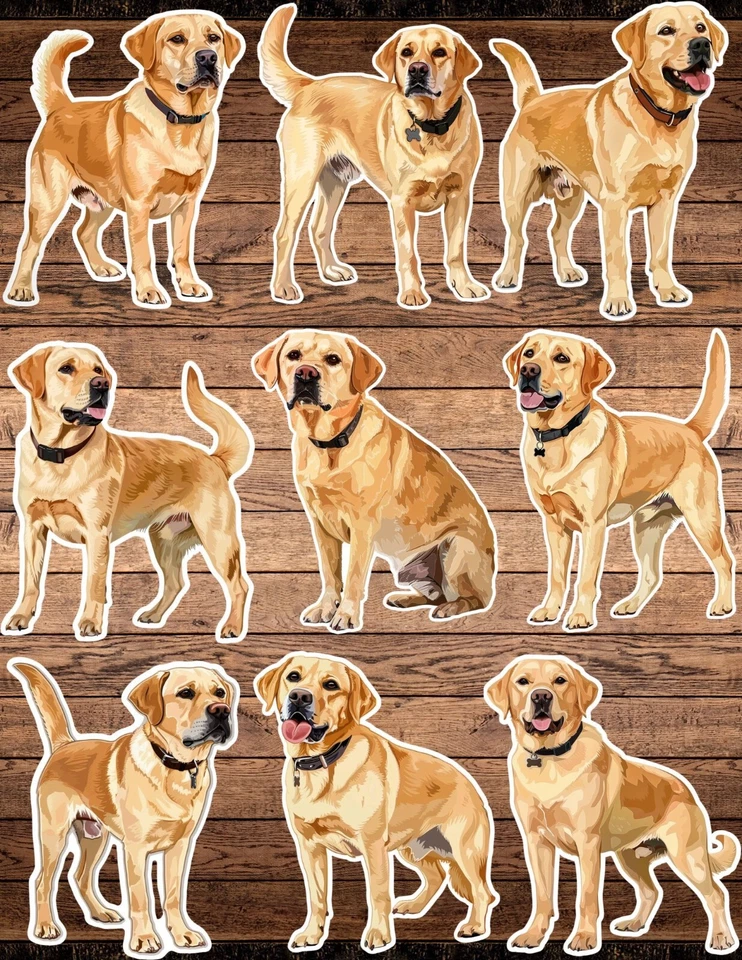 Yellow Labador Dog Die Cut Vinyl Stickers Set Scrapbooking Laptop WaterBottle - Image 1 of 1