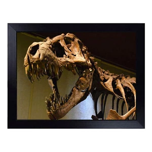 Dinosaurier Skelett T Rex Schoß Tablett gepolsterter Sitzsack gepolstert TV Schreibtisch - Bild 1 von 4