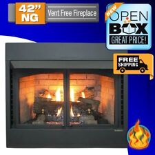Buck Stove 42-Inch Ventless Gas Fireplace, Natural Gas, 42ZCBBXL-ONAT, S&D