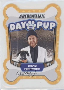 2023-24 Upper Deck Credentials Day with the Pup David Pastrnak #DWTP-2 - Picture 1 of 3