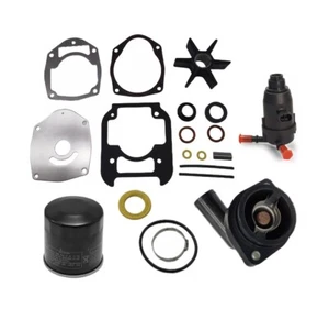 Mercury Maintenance Kit W/Fuel Filter & Oil Filter 175 200 225 HP V6 8M0149931 - Foto 1 di 10