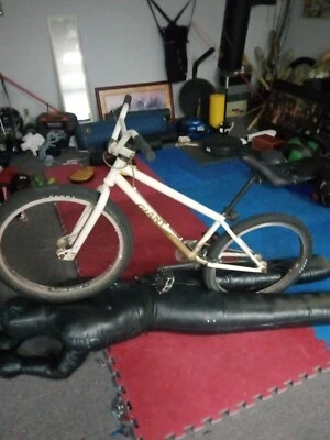 Bicicleta BMX Cruiser Giant Method 24" rara Foto 1 de 4