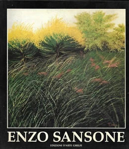Enzo Sansone Opere Edizione d'Arte Ghelfi. - Foto 1 di 1
