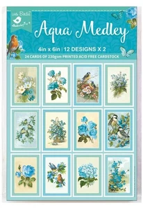 Confezione da 6 - Carte Giornalismo Little Birdie 4"X6" 24/Pkg - Acqua Medley - CR79488 - Foto 1 di 1