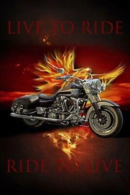35" Fabric Panel - David Textiles Digital Live to Ride Motorcycle Flames Scene - Image 1 of 1