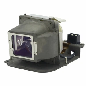 Original Philips Projector Replacement Lamp for Toshiba TLP-LP20 - Picture 1 of 12