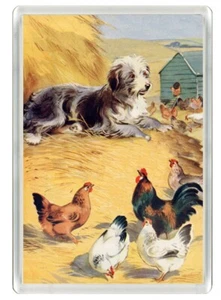 BEARDED COLLIE SCHÖNER HUND KUNSTDRUCK NEUHEIT KÜHLSCHRANKMAGNET TOLLES GESCHENK - Bild 1 von 1