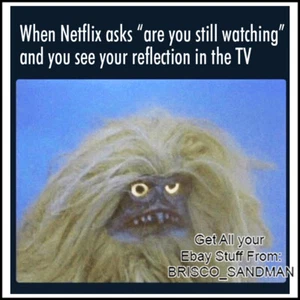 Fridge Fun Refrigerator Magnet "WHEN NETFLIX ASKS ARE YOU STILL WATCHING?" Meme - Picture 1 of 12
