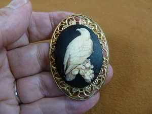 cm194-1) Falke Vogel weiß schwarz Kamee Messing Pin Anhänger Schmuck Brosche Halskette - Bild 1 von 1