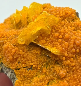 +++ WULFENITE, MIMETITE SAN FRANSICO MINE, SONORA, MEXICO +++ - Picture 1 of 7