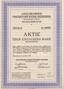 (Nr. 286 ) Aktie, Akelsbarger Presstorfwerk Sieberns , 1923 - Bild 1 von 1