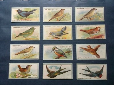 R J Lea  Ltd ( English Birds ) MATT ( Complete Your Set ) Very Good  1922 - Image 1 of 4