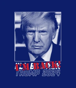 Camiseta S a 2XL 3XL - TRUMP I'M BACK - HUMOR POLÍTICO DIVERTIDO Adulto - Imagen 1 de 54
