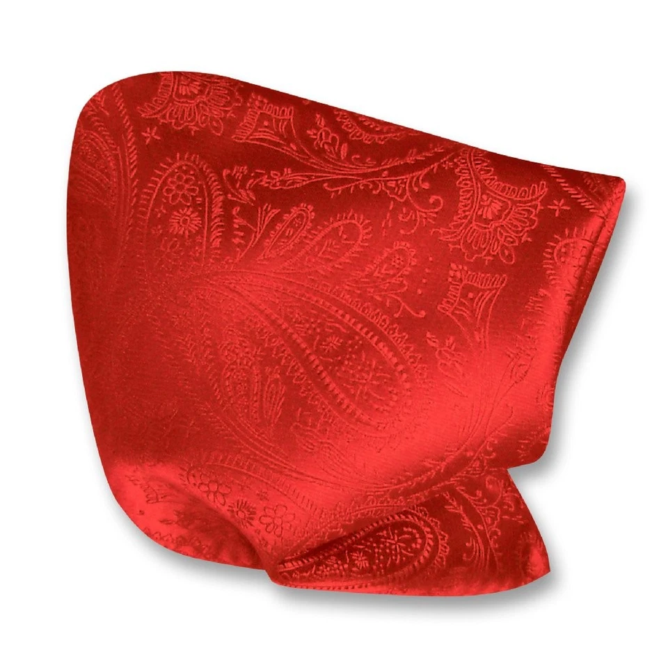 Vesuvio Napoli PAISLEY Design Men's Hankerchief Pocket Square Mens Hanky Hankie - Image 1 of 1