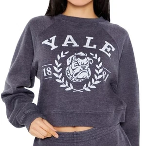 Yale University Blueish Gray Fleece Lined Yale Graphic Cropped Sweatshirt Size M - Picture 1 of 11