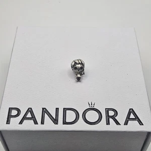 Original Pandora Harry Potter Zauberer Emaille Charm ALE 925 798626C01 - Bild 1 von 3