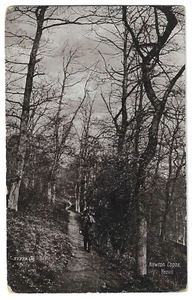 SOMERSET - NEWTON COPSE, YEOVIL Postkarte mit 1914 KÖNIGIN KAMEL Poststempel - Bild 1 von 3