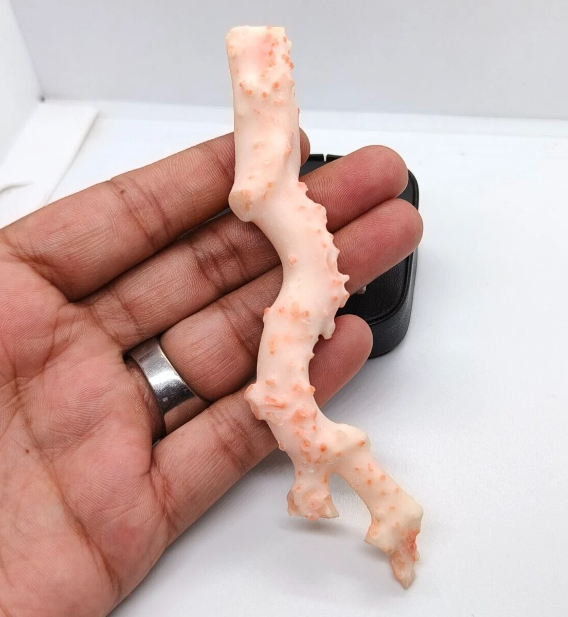 日本珊瑚天然散装宝石| eBay