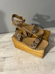 Sandali donna Express stampa serpente 9 55285 multicolore - Foto 1 di 8